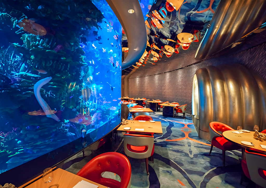 Discover The Most Demanding Seafood Restaurants In Dubai discover-the-most-demanding-seafood-restaurants-in-dubai