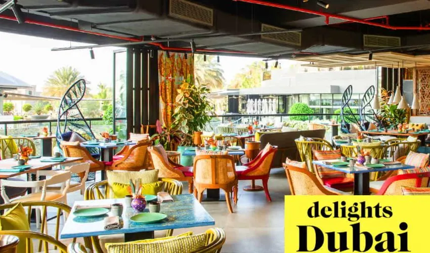 One of the best Indian Restaurants In Dubai in Indiya by Vineet