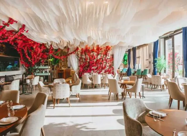 Discover Palm Jumeirah's Best Restaurants