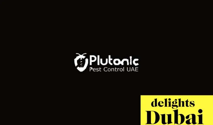 Plutonic Cleaning Services